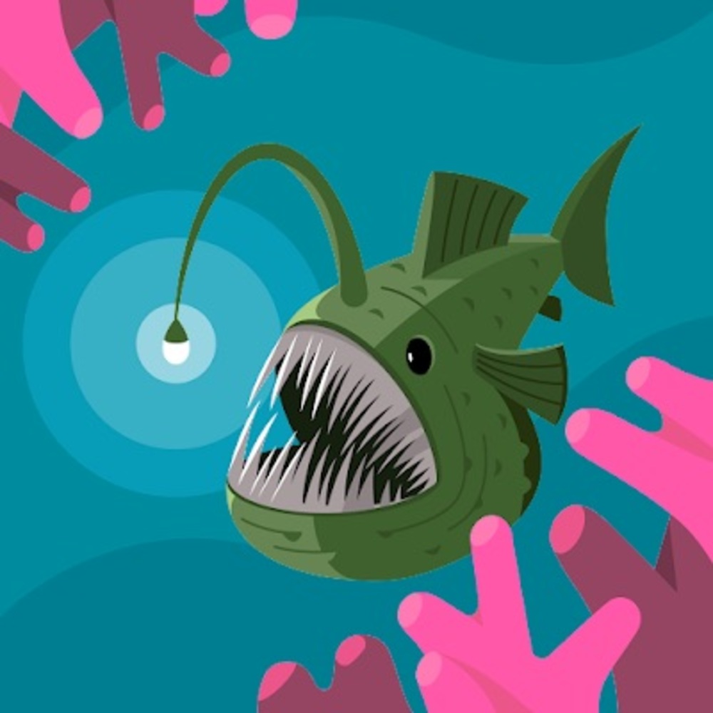 Meet your Posher, Ldvcmc